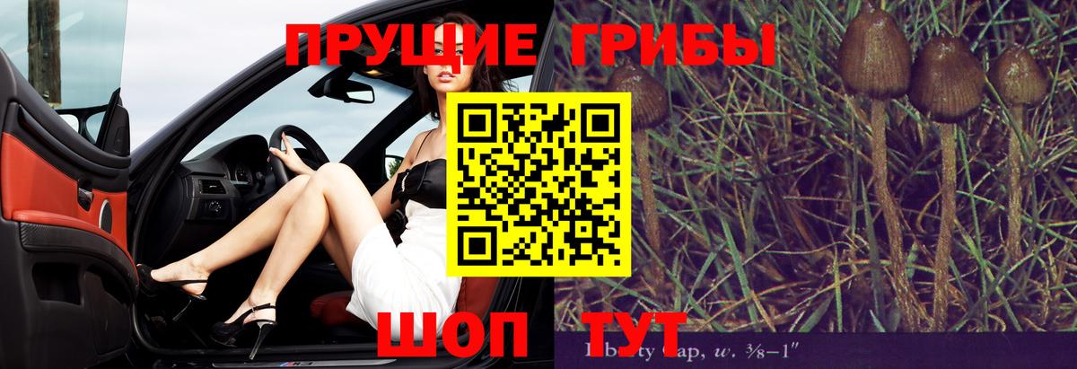 Галлюциногенные грибы GOLDEN TEACHER Иваново